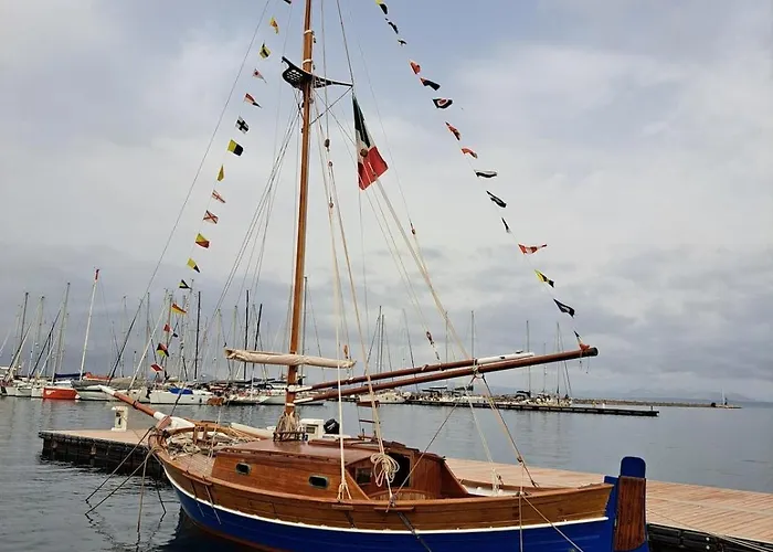 My Octopus House * 卡洛福泰