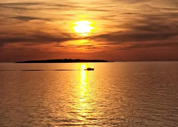 公寓 My Octopus House *