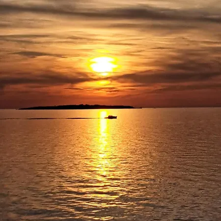 Апартаменты My Octopus House *