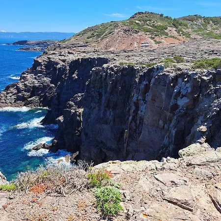 My Octopus House * Калофорте