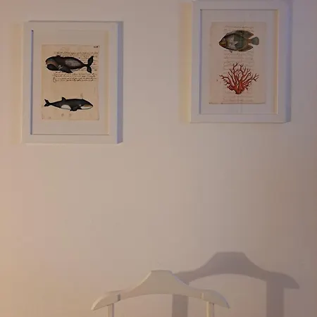 My Octopus House Калофорте