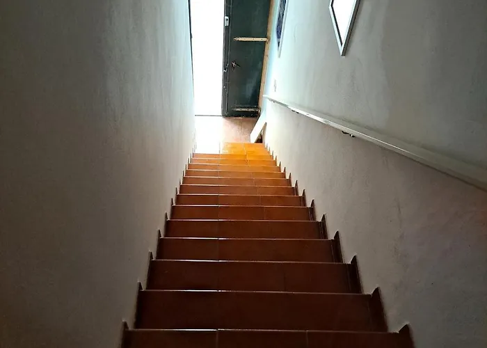 My Octopus House Appartement *
