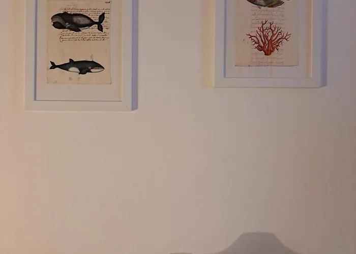 My Octopus House Carloforte (Isola di San Pietro)